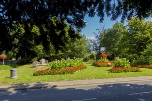 ‎Filby In Bloom